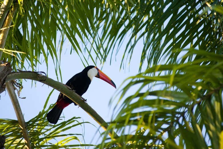 Trilha da Lagoinha do Leste – Aventura, Natureza e Vistas Incríveis