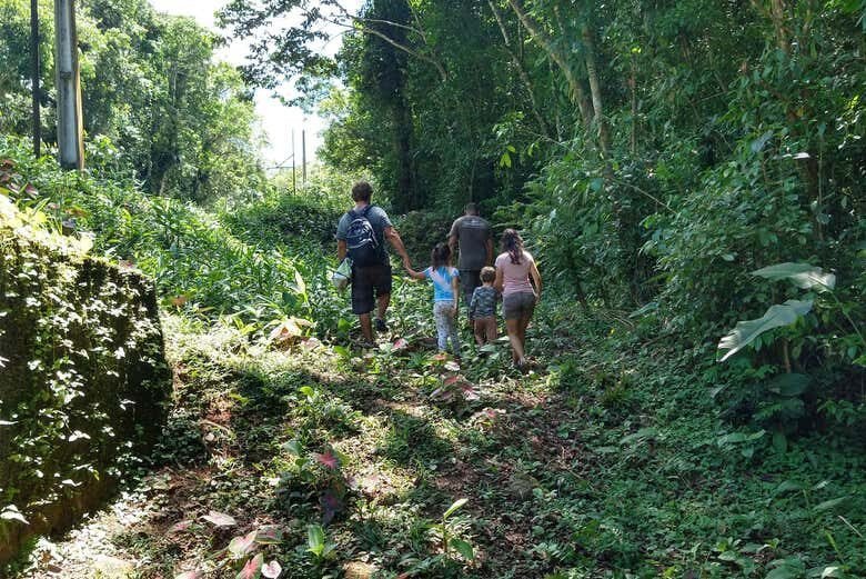 Descubra os Tesouros Culturais de Bertioga: Uma Trilha Imperdível!