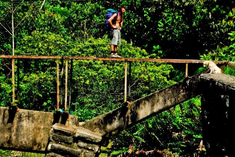 Aventura na Trilha da Cachoeira da Torre 47 em Bertioga!