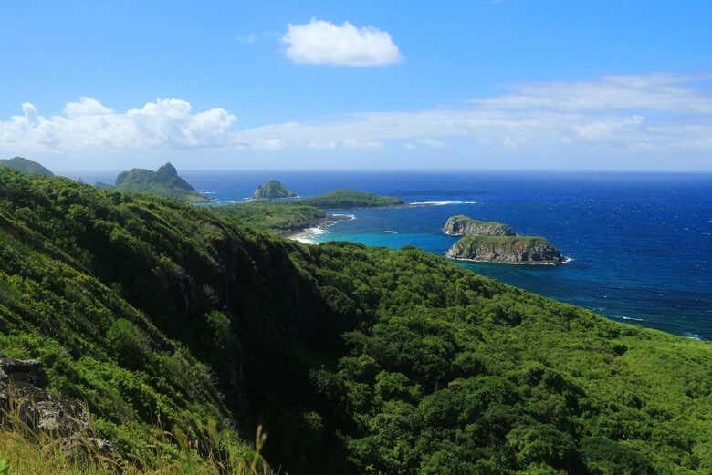 Trilha do Capim Açu + Praia do Leão: Aventura em Fernando de Noronha!