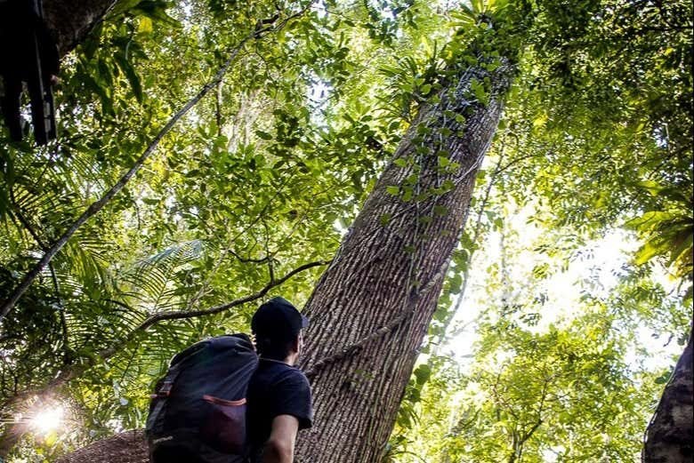 Descubra os Tesouros Culturais de Bertioga: Uma Trilha Imperdível!