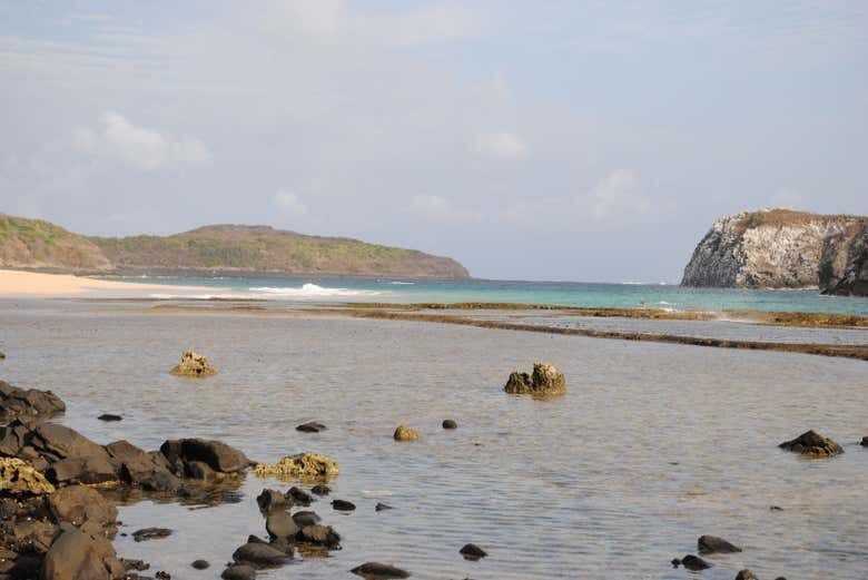 Trilha do Capim Açu + Praia do Leão: Aventura em Fernando de Noronha!