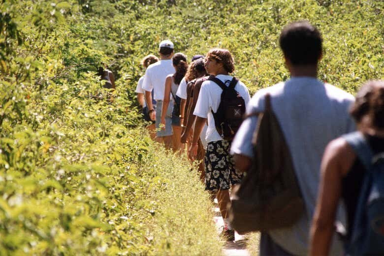 Explore o Ponto Mais Alto de Búzios com a Trilha pela Serra das Emerências!