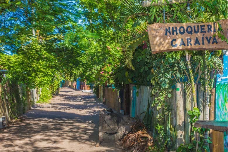Descubra o Paraíso Escondido: Excursão de Porto Seguro a Caraíva!