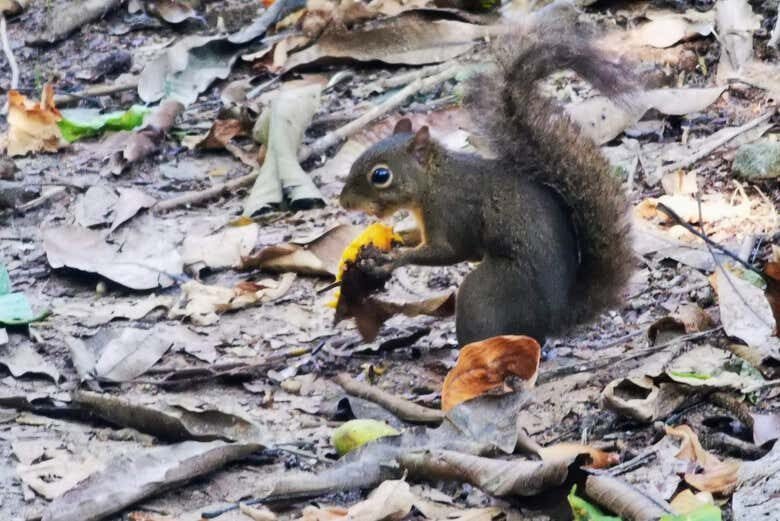 Desvende a História e Beleza Natural da Ilha Grande e Praia Preta!