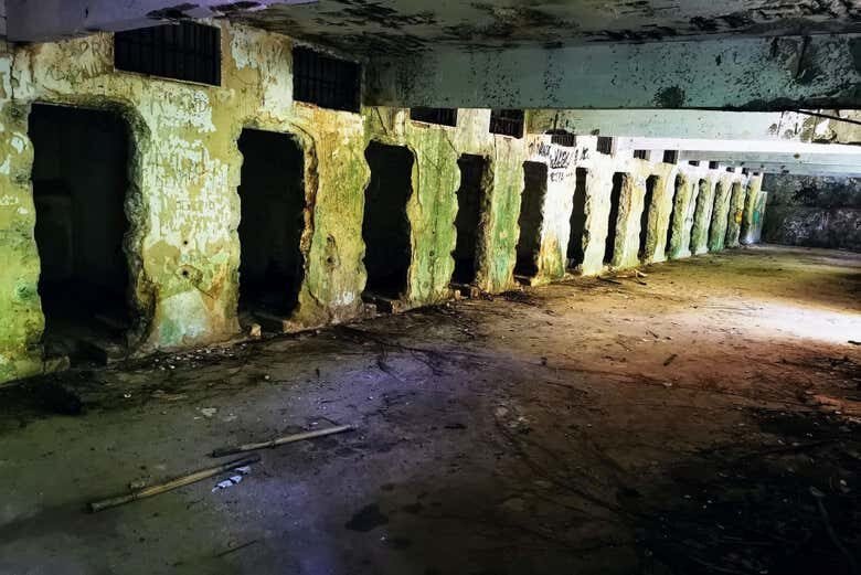 Desvende a História e Beleza Natural da Ilha Grande e Praia Preta!