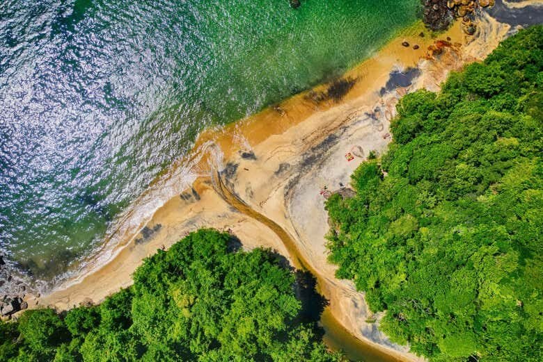 Desvende a História e Beleza Natural da Ilha Grande e Praia Preta!