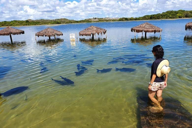 Exploração Incrível na Praia do Saco e Lagoa dos Tambaquis!
