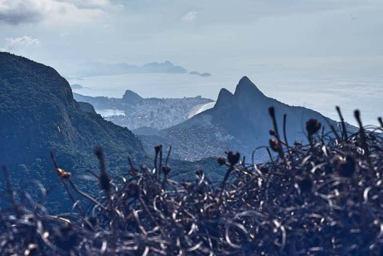 Conecte-se com a Natureza: Trilha Incrível em Pedra Bonita no Rio de Janeiro!