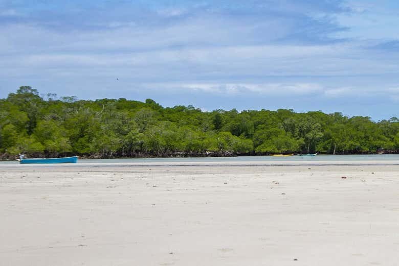 Excursão à Praia de Garapuá: Mergulhe nas Piscinas Naturais e Explore um Paraíso Tropical!