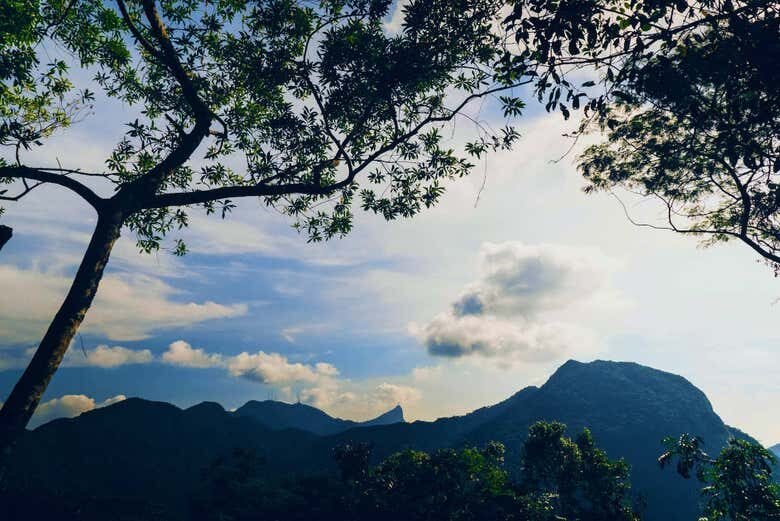 Conecte-se com a Natureza: Trilha Incrível em Pedra Bonita no Rio de Janeiro!