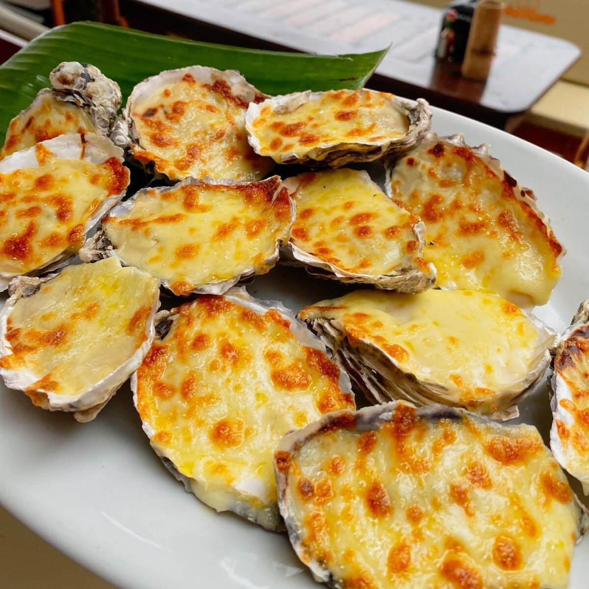 O melhor da gastronomia da costa da Lagoa!