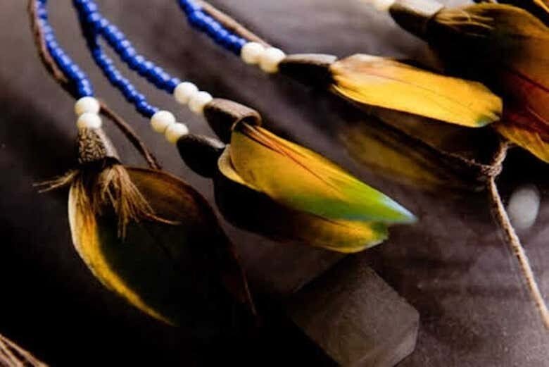 Amazônia Viva: Tour pela Enseada do Amorim e Igapós Amazônicos!