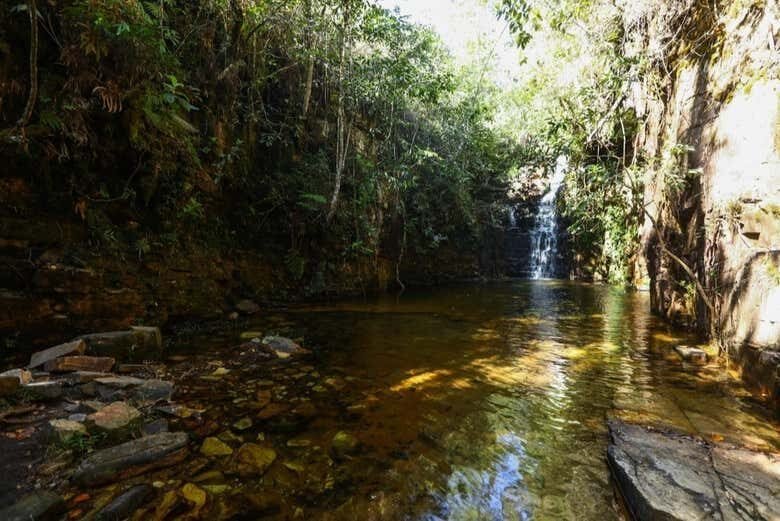 Exploração e Conexão com a Natureza: Trilha pelas Cachoeiras Paraíso e Lobo!