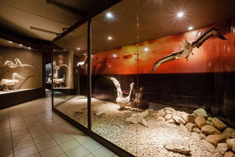 Uma viagem ao fundo do mar no Museu Oceanográfico Univali!