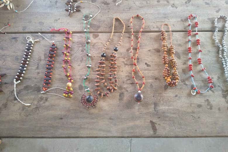 Vivência Ribeirinha no Tapajós: 1 ou 2 dias de cultura e natureza amazônica!