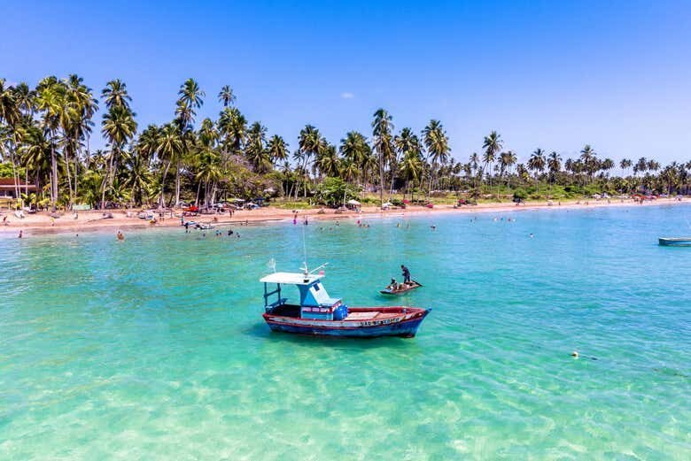 Excursão Privada a Maragogi: Descubra o Caribe Brasileiro!