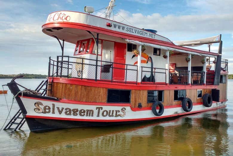 Amazônia Viva: Tour pela Enseada do Amorim e Igapós Amazônicos!