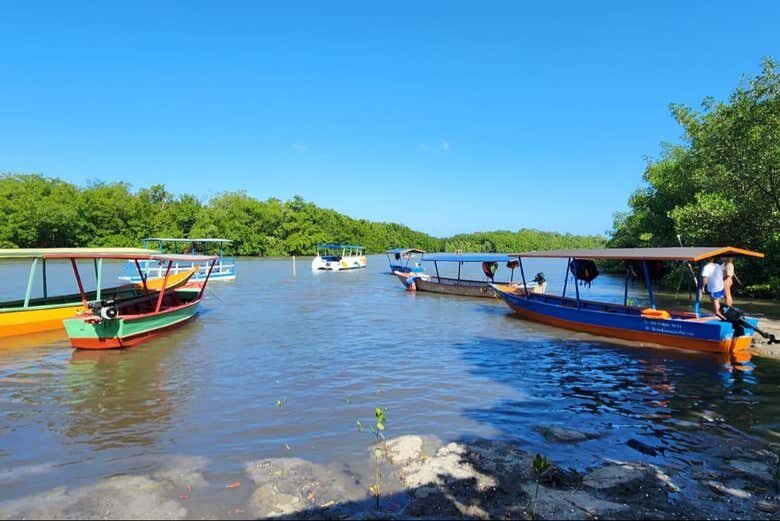 Desbrave a Barra de Mamanguape: Um Refúgio Natural na Paraíba!