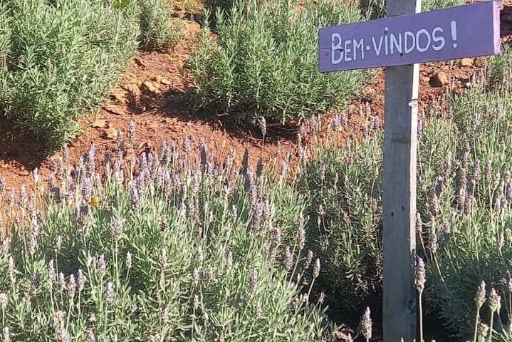 Explore a História e Cultura da Rota Romântica: Excursão a Morro Reuter e Ivoti!