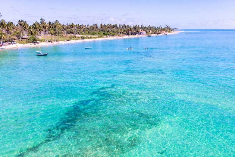 Excursão Privada a Maragogi: Descubra o Caribe Brasileiro!