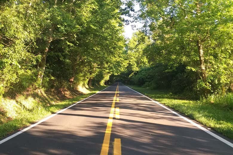 Explore a História e Cultura da Rota Romântica: Excursão a Morro Reuter e Ivoti!