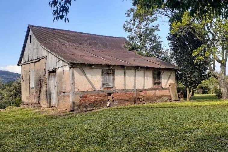 Tour Cultural e Natural em Alto Feliz: Tradições, Natureza e Cachoeiras!