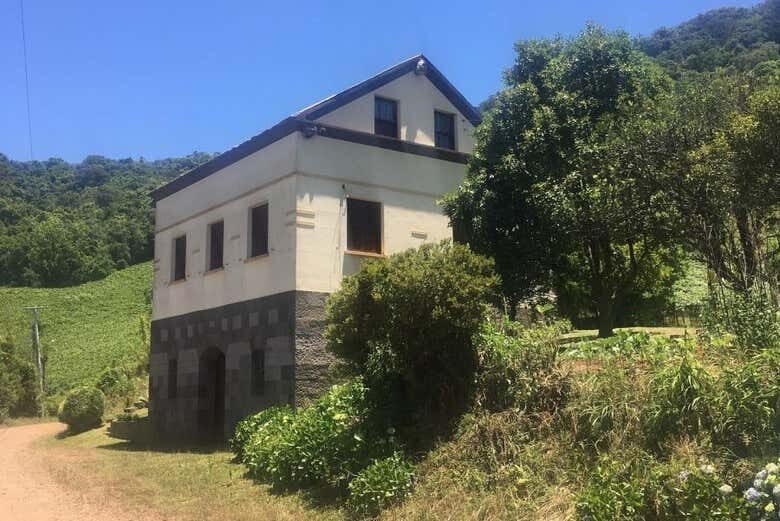 Tour Cultural e Natural em Alto Feliz: Tradições, Natureza e Cachoeiras!