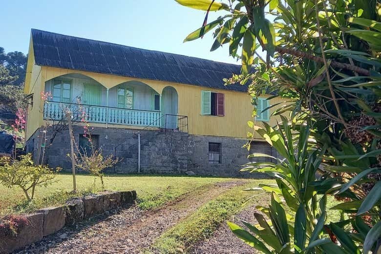Tour Vale do Rio das Antas & Vinícolas da Serra Gaúcha — Uma imersão entre montanhas e sabores!