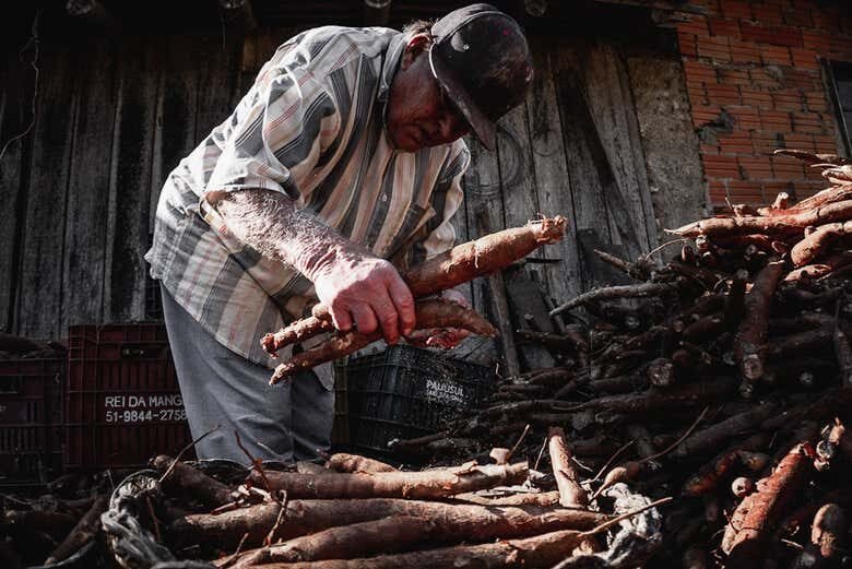 Explore Garopaba: Um Tour Completo pela História e Cachaça Artesanal!