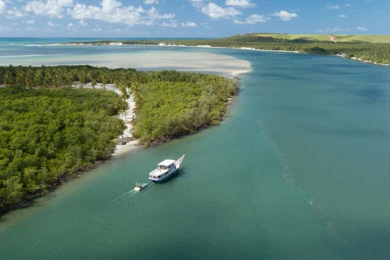 Excursão à Praia do Gunga: Um Dia Inesquecível no Paraíso Tropical!