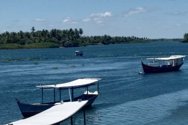 Explore Penedo e a Natureza Deslumbrante da Ilha Recanto do Penedo