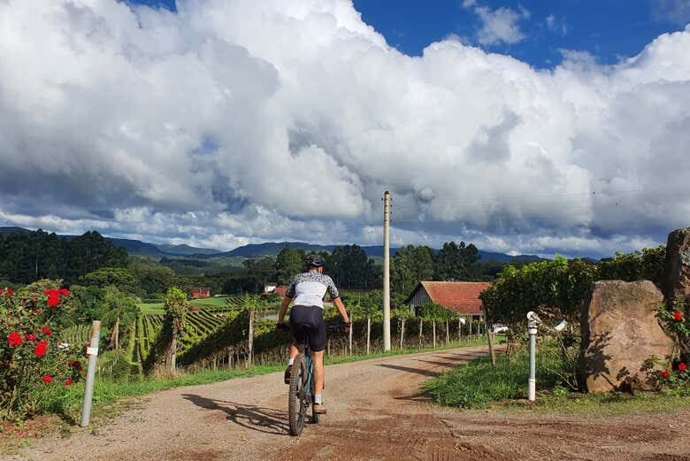 Pedal Rural com Degustação em Nova Petrópolis!