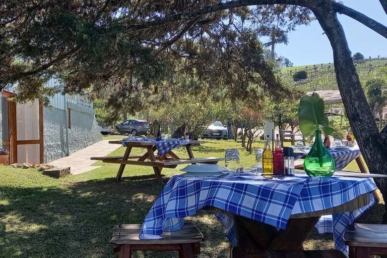 Tour do Vinho em Garibaldi: Tradição, Cultura e Sabores Coloniais!