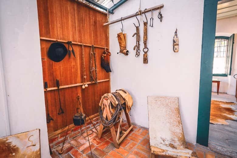 Rumo a Porto Alegre: passeio de catamarã e tour cultural por Guaíba!