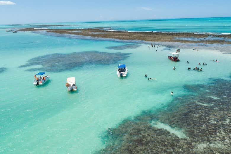 Descubra as Piscinas Naturais de Japaratinga com um Incrível Passeio de Barco!