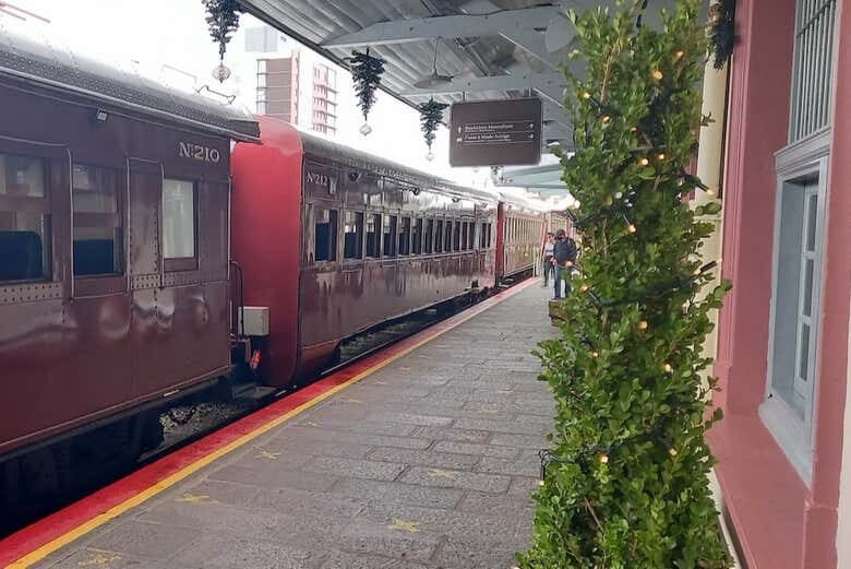 Trilhos, Vinhos e Histórias: Tour de Maria Fumaça + Vinícola em Bento Gonçalves!