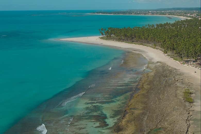 Descubra a Paradisíaca Praia dos Carneiros com Saída de Maragogi!