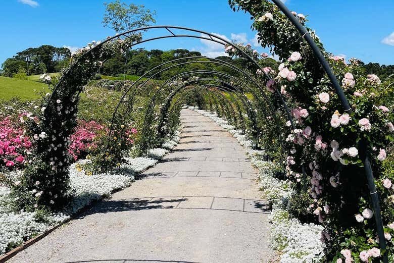Excursão a São Francisco de Paula: Natureza, Livros e Flores!