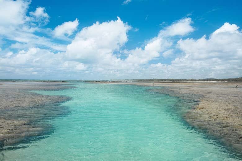 Excursão a São Miguel dos Milagres: Um Paraíso em Alagoas!