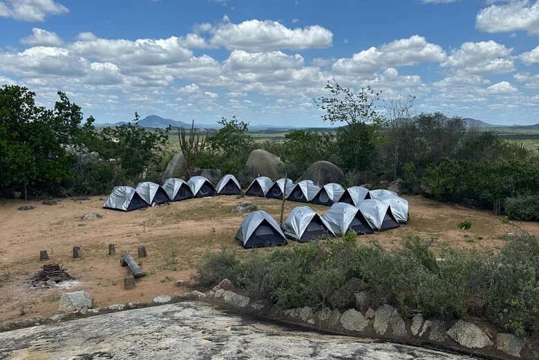 Explore a Única Caatinga Brasileira em uma Inesquecível Excursão de 2 Dias!