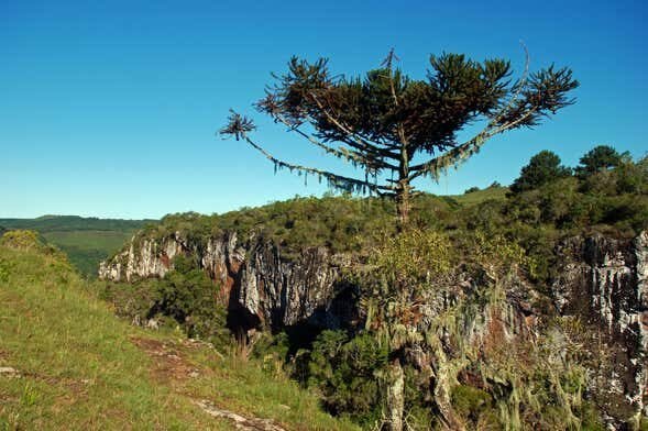 Explore as Maravilhas Naturais de Caxias do Sul: Tour pelo Cânion dos Palanquinhos e Campos de Criúva!