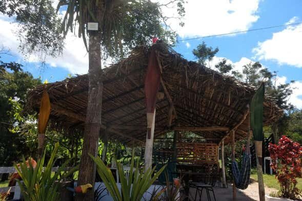 Exploração na Natureza de Alagoas: Excursão a Chã Preta e Serra Lisa!