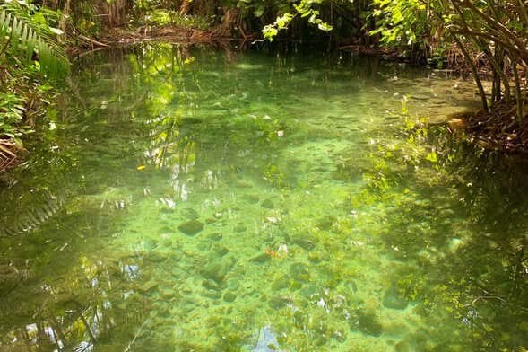 Descubra a História e a Natureza do Piauí nesta Excursão Única