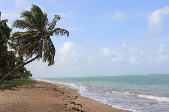 Descubra a Paradisíaca Praia dos Carneiros com Saída de Maragogi!