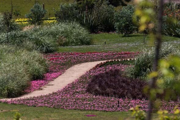 Encante-se com o MÁTRIA Parque de Flores em São Francisco de Paula!
