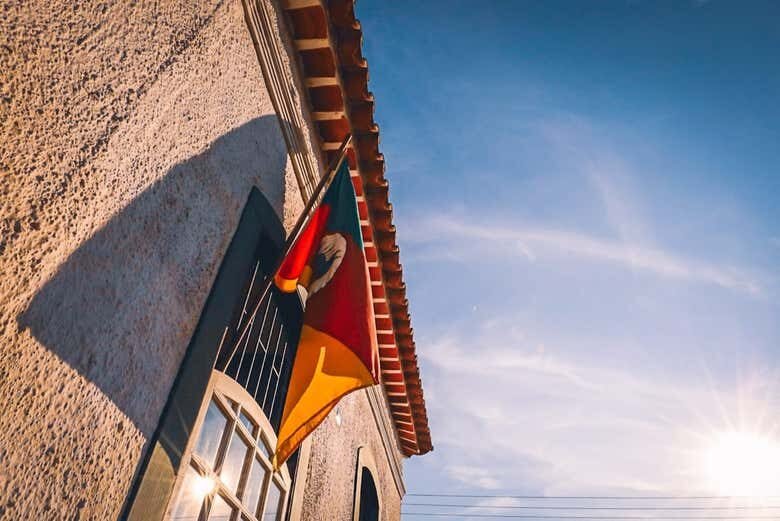 Rumo a Porto Alegre: passeio de catamarã e tour cultural por Guaíba!