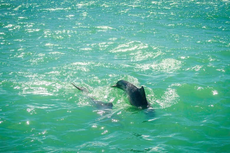 Desfrute das Incríveis Praias de Pipa com Partida de João Pessoa!