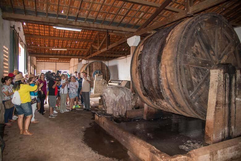 Excursão Privada a Cabaceiras e ao Lajedo de Pai Mateus: Descubra a 'Roliúde' Nordestina!