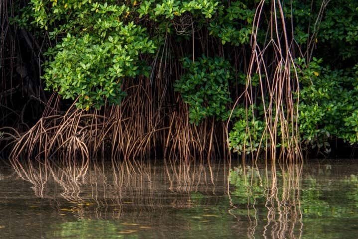 Descubra o Paraíso Ecológico das Dunas de Marapé com Guia Especializado!